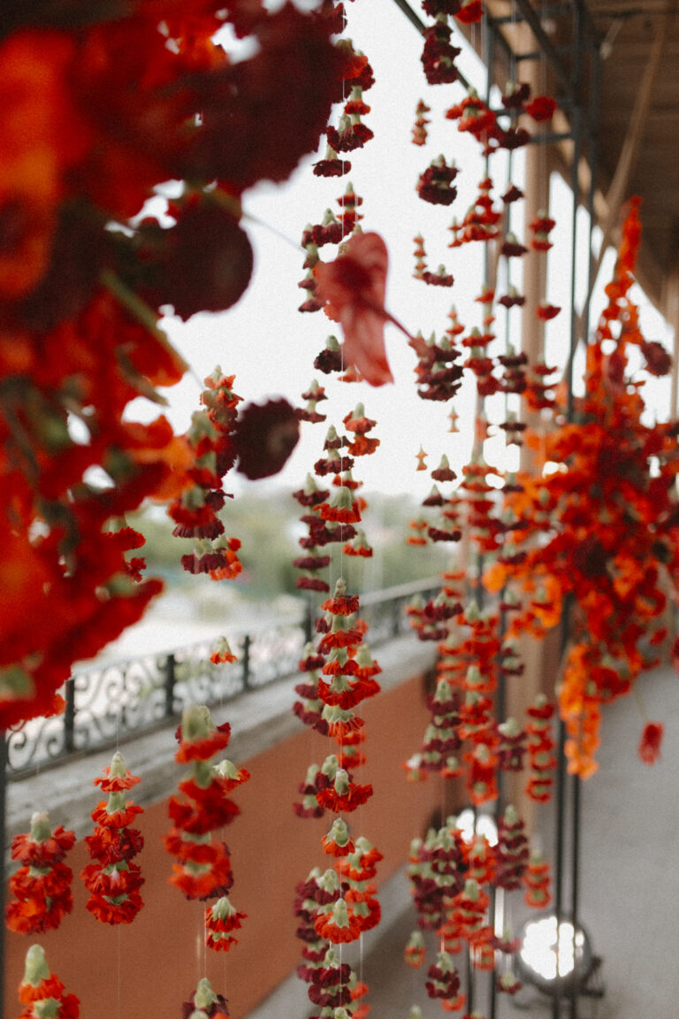 8 9Sep23FilomennaPreviews