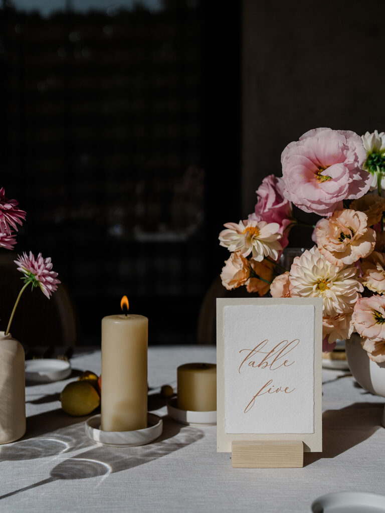 Courtney and Zach: Welcome Party & Wedding