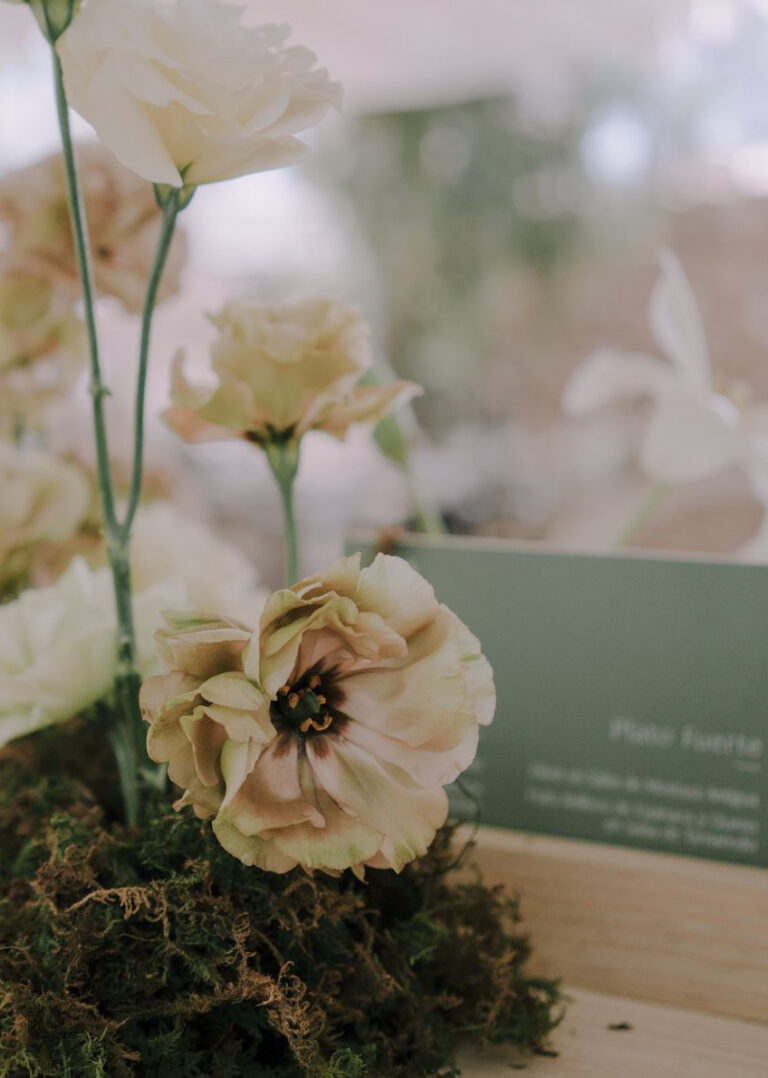 Gabriela & Alexander